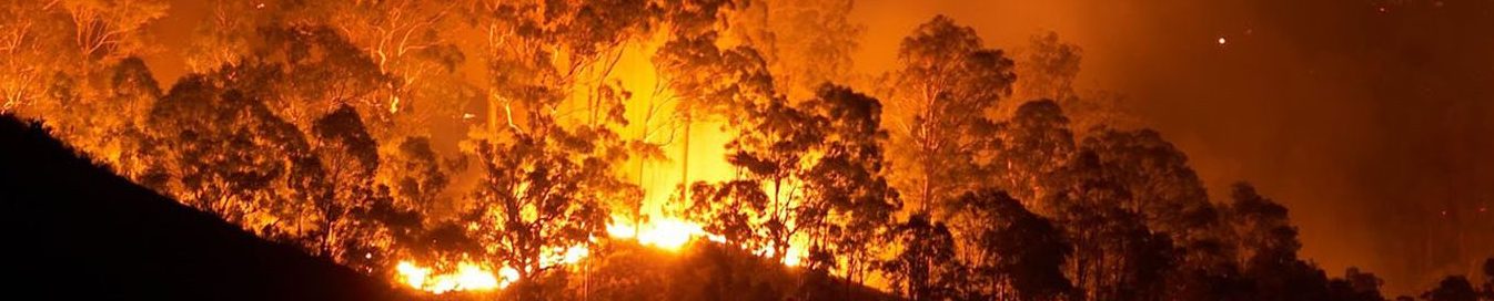 Incendio forestal activo utilizado para el análisis y seguimiento de la actualidad sobre incendios forestales