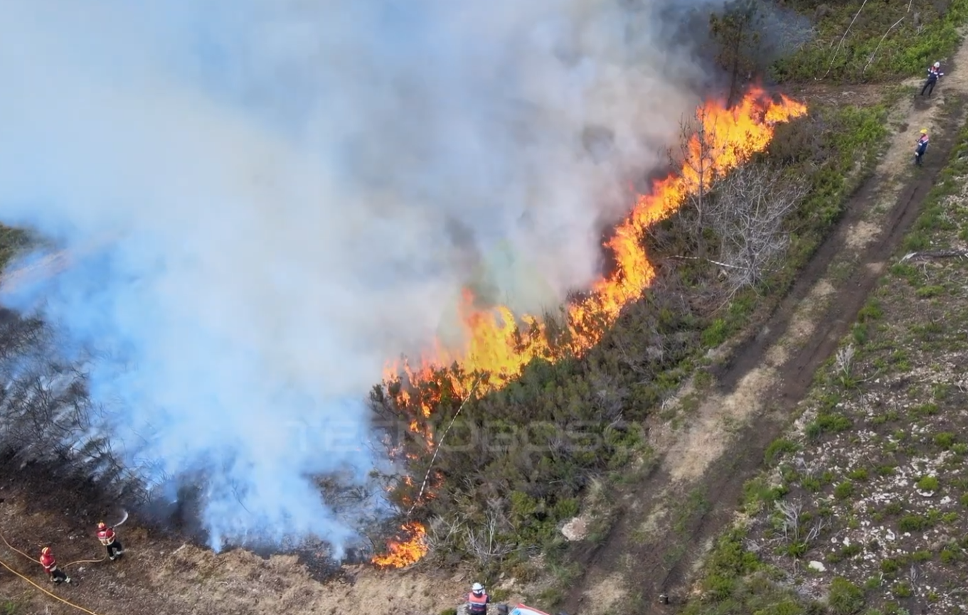 Ensayo de campo para evaluar tecnologías de protección frente a incendios forestales