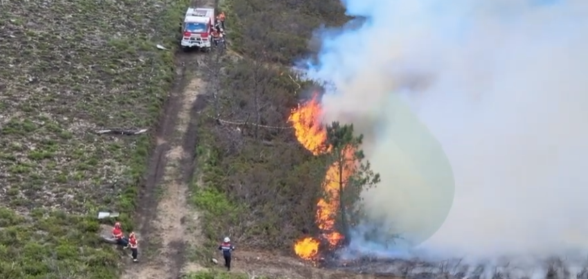 Frente de fuego llegando a una zona de vegetación protegida con PYROLESS