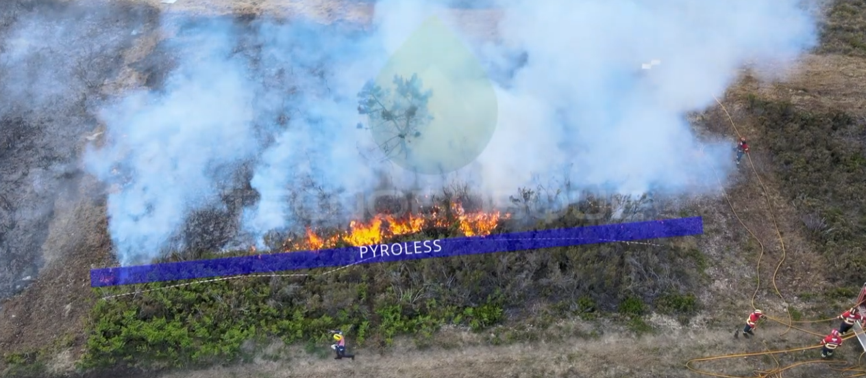 Resultado de un ensayo de campo con vegetación tratada con PYROLESS